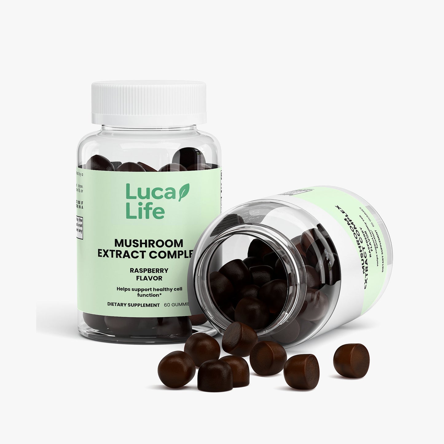 Mushroom Extract Complex